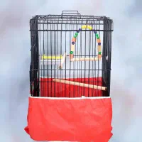 قفس کاسکو یا عروس هلندی