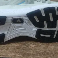 کفش نو خارجی|کیف، کفش، کمربند|سقز, |دیوار