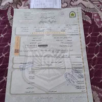 پراید هاچ بک مدل ۱۳۷۵ فروش فوری|خودرو سواری و وانت|دماوند, دماوند|دیوار