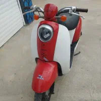 پاکشتی اسکوپی سالم