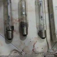 لامپ بزرگ کاملا سالم