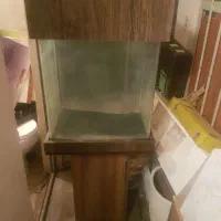 آکواریوم شیشه خم