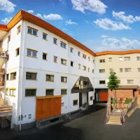 استخدام نیروی فنی