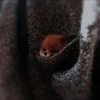 فروش مقداری لوازم یدکی ب قیمت فاکتور