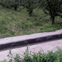 فروش باغ|فروش دفتر صنعتی، کشاورزی، تجاری|میاندوآب, |دیوار