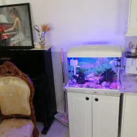 لوازم منزل|حراج|قوچان, |دیوار