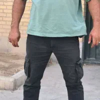 جویای کار ،محافظ شخصی
