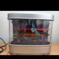 چراغ خواب و آباژور|چراغ خواب و آباژور|تهران, افسریه شمالی|دیوار