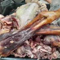 غذای سگ ضایعات گوشت گوساله