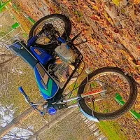 متور سیکلت مزایده ۲۵۰