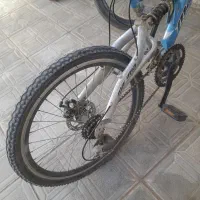 دوچرخه ۲۴ ماکسیما|دوچرخه، اسکیت، اسکوتر|لاران, |دیوار