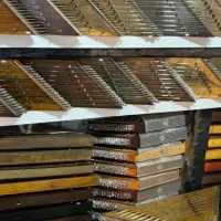 سنتور دست ساز اکبری(۳ مهر چوب گردو)|سازهای سنتی|شیراز, سینما سعدی|دیوار