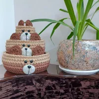 ست تدی تریکویی