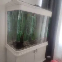 اکواریوم95/150|ماهی|تهران, جنتآباد مرکزی|دیوار