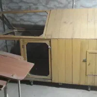 قفس مرغ وکفتر