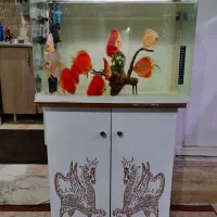 آکواریوم k580 دلسا و فیلتر سطلی uv