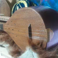 سه تار حرفه ای استاد جوکار