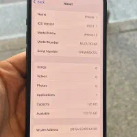 ایفون ۱۳|موبایل|تربتحیدریه, بوستان باغ ملی|دیوار