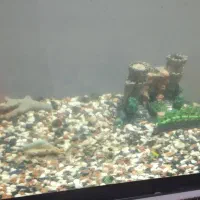 آکواریوم بزرگ