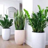 خدمات باغبانی باغچه کاری گلکاری تعویض خاک گلدان