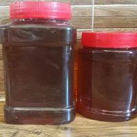 فروش عسل برداشت اول گیشنیز