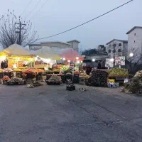 کارگر روزی ۸۰۰ برای بساط میوه فروشی