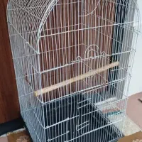 قفس پرنده|لوازم جانبی حیوانات|رشت, پیرکلاچای|دیوار