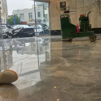 کفسابی سنگ سابی ونماشویی
