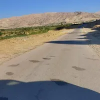 باغ گلابی|خدمات باغبانی و درختکاری|اهواز, زرگان|دیوار