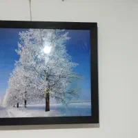 تابلو|تابلو، نقاشی، عکس|رشت, معلولین|دیوار