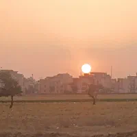 استخدام نیروی خانم جهت تولید