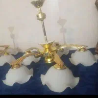 4عدد لوستز