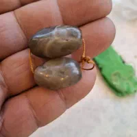 گبر چشم دار اوسیم شده و موکل دار