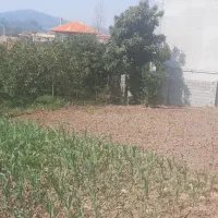 فروش ی قطعه زمین|فروش زمین و ملک کلنگی|شیرگاه, |دیوار