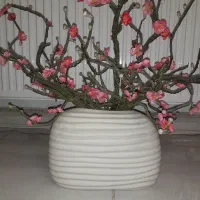 گلدان سفالی و شکوفه های گل