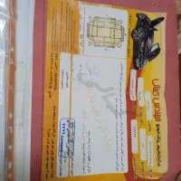 خودرو|خودرو سواری و وانت|مشهد, نوید|دیوار