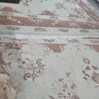 فرش در حد نو