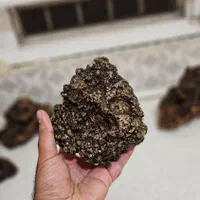 سنگ الفنت اکواریوم ماهی دکور|ماهی|تهران, ستارخان|دیوار