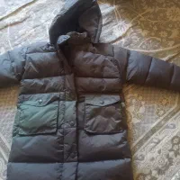 کاپشن و‌پالتو|لباس|بیجار, |دیوار