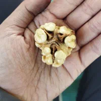 گردو درجه یک