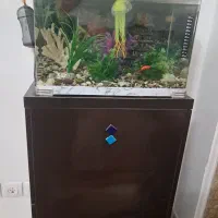 آکواریوم با همه وسایل وتزئینات