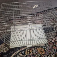 چند قفس پرنده