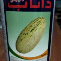 فروش بذر اصلاح شده خربزه درگزی