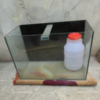 آکواریوم سالم