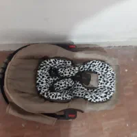 کریر بچه