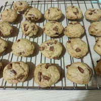 بهترین و باکیفیت ترین کوکی