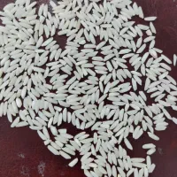 برنج درجه یک میانه (ممان)