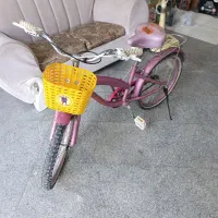دوچرخه 20