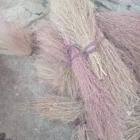 جارو محلی(گزی)|لوازم نظافت|مریوان, |دیوار