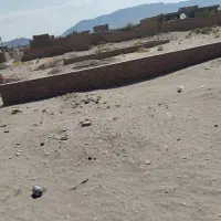 کرسه چینی زیر فی بازار